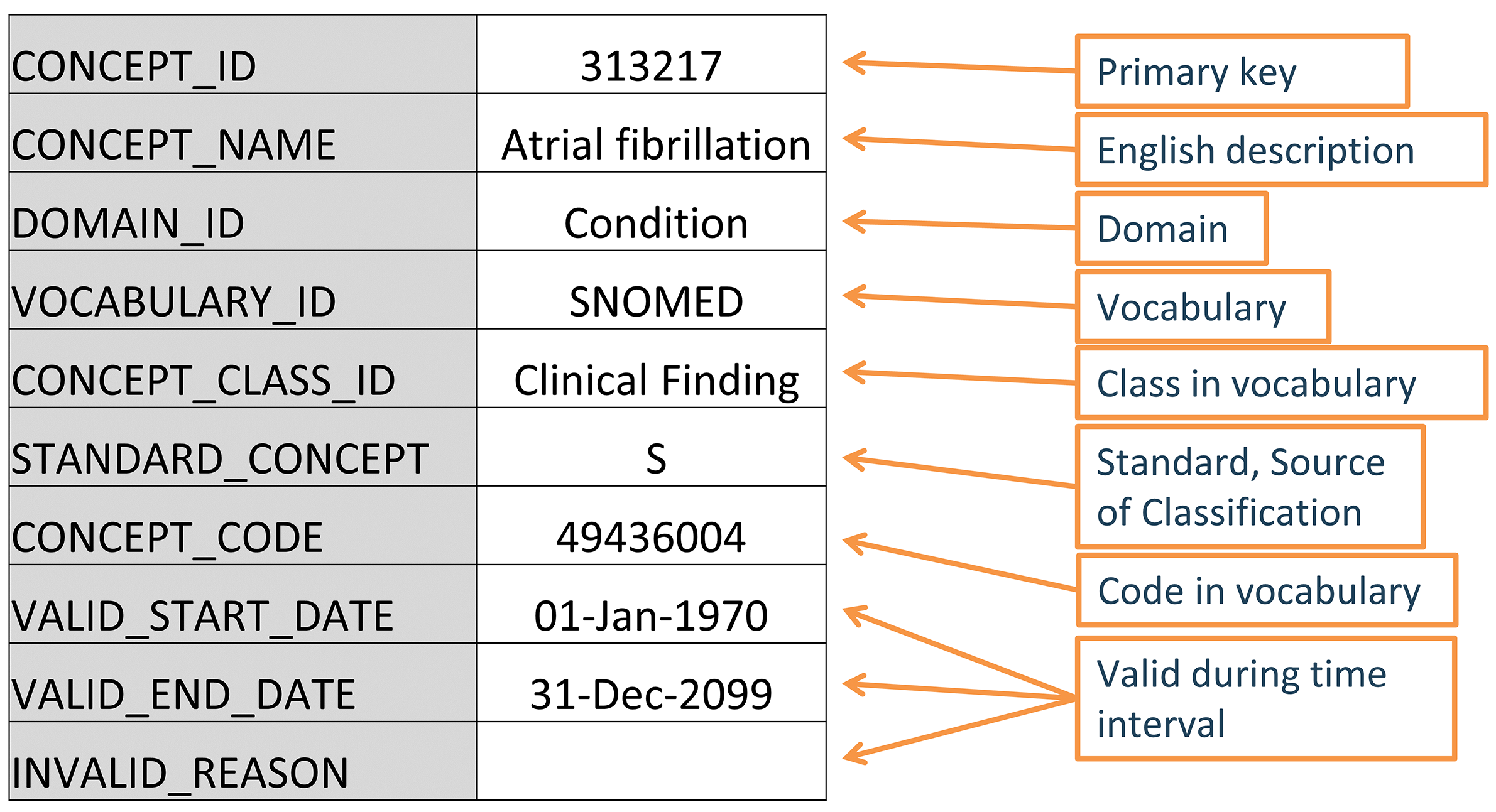 OMOP CDM에서 vocabulary의 표준 표현. 위의 예는 심방세동의 SNOMED 코드에 대한 CONCEPT 테이블 레코드이다.