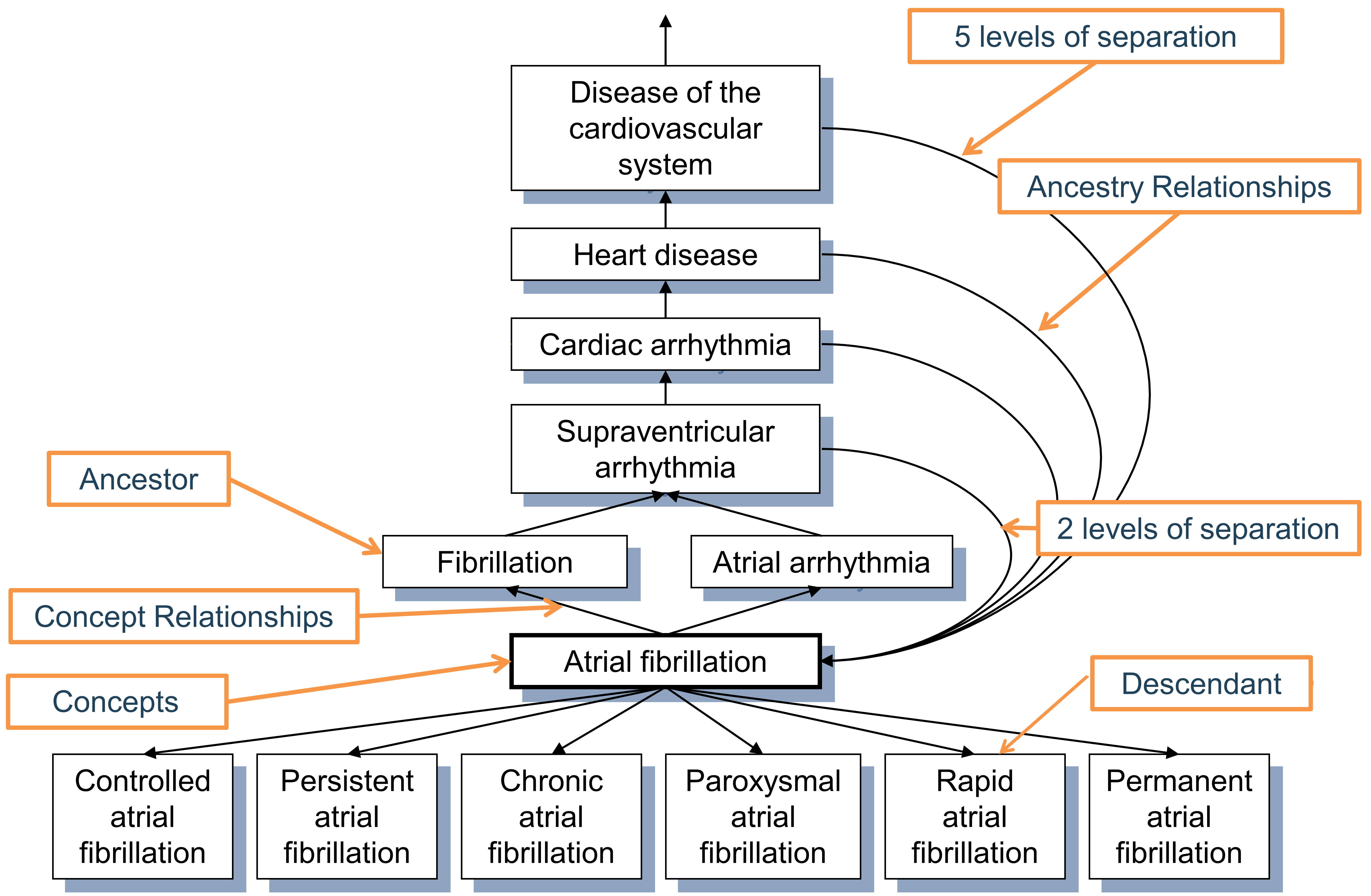 “심방세동 atrial fibrillation” condition의 계층. First degree ancestry는 “Is a”와 “Subsumes” 관계를 통해 정의되며, 모든 higher degree 관계는 추론되고, CONCEPT_ANCESTOR 표에 저장된다. 각 개념은 분리 수준이 0인 자기 자신의 하위 개념이다. 